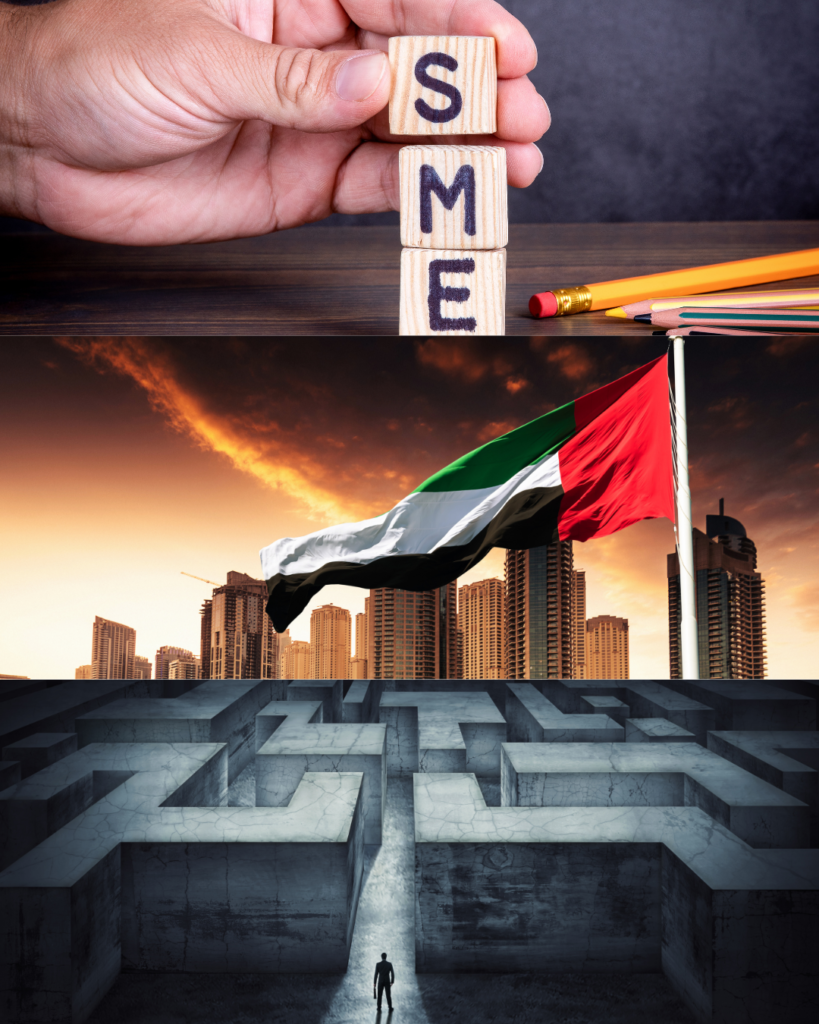 Challenges for SMEs in UAE